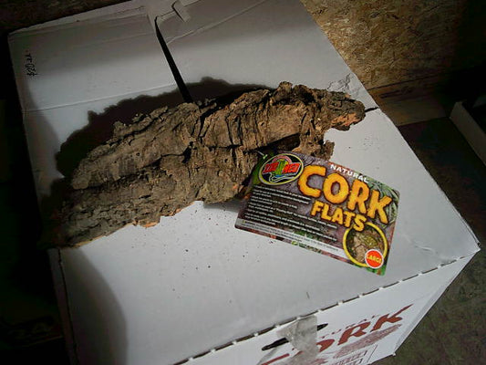 Live Cork Hide